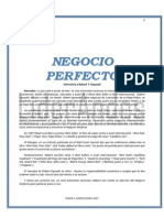 Negocio Perfecto PDF