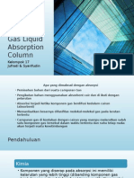 Gas Liquid Absorption Column