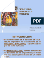 Ciclo Vital Individual y Familiar