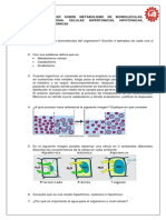 Biomoleculas Taller - Plan 5