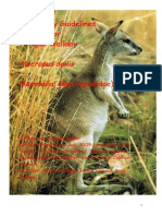 Kangaroo Husbandary PDF