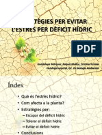 Estratègies D'adaptació Vegetal en Front D'estrès Pèr Dèficit Hídric PDF