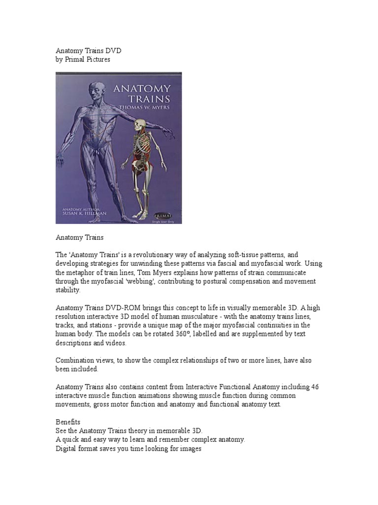 Anatomy Trains DVD | PDF | Anatomical Terms Of Location | Anatomy