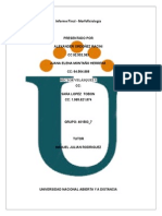 Informe Final Morfofisiología