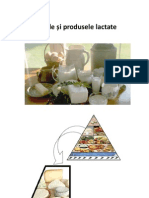 Lapte Si Produse Lactate