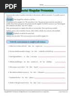 Special Singular Pronouns