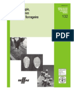 cultivoeusodapalmaforrageira-090722190551-phpapp02