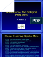 Neuroscience The Biological Perspective