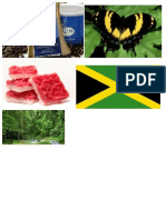 A Few Jamaican Things