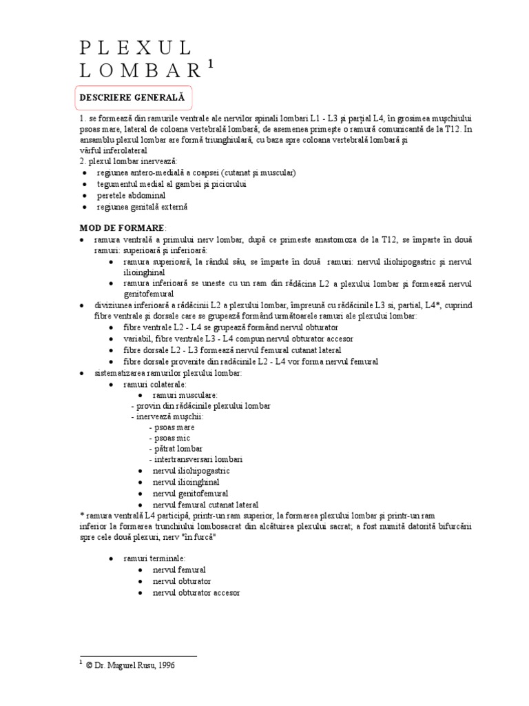 Plex Lombar PDF | PDF