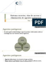 Agentes Patógenos y Sistema Excretor - 2015