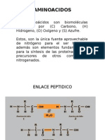 AMINOACIDOS FARMA