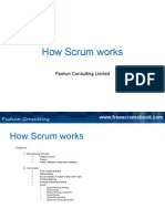 How Scrum Works: Pashun Consulting Limited