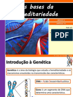 Hereditariedade Noções Básicas