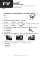 Soal Soal Ipa KTSP Kelas 2 Bab 1