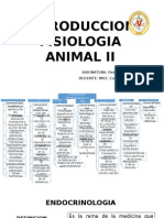 Introduccion Fisiologia Animal II