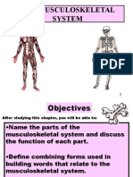 The Musculoskeletal System