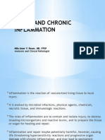 Acute & Chronic Inflammation