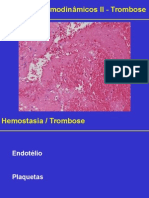 06 Aula Hemodinamicos 2