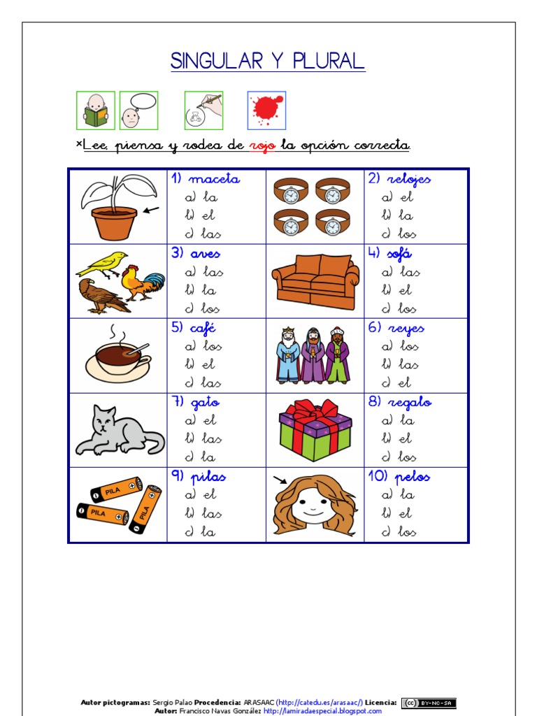 SINGULAR Y PLURAL (ARASAAC)