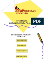 Metabolisme Purin Dan Pirimidin2(2)