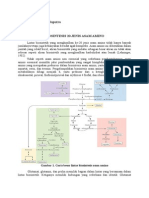 Biosintesis 20 Jenis Asam Amino