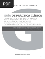 Guía de práctica clínica de las Complicaciones de la mano traumática