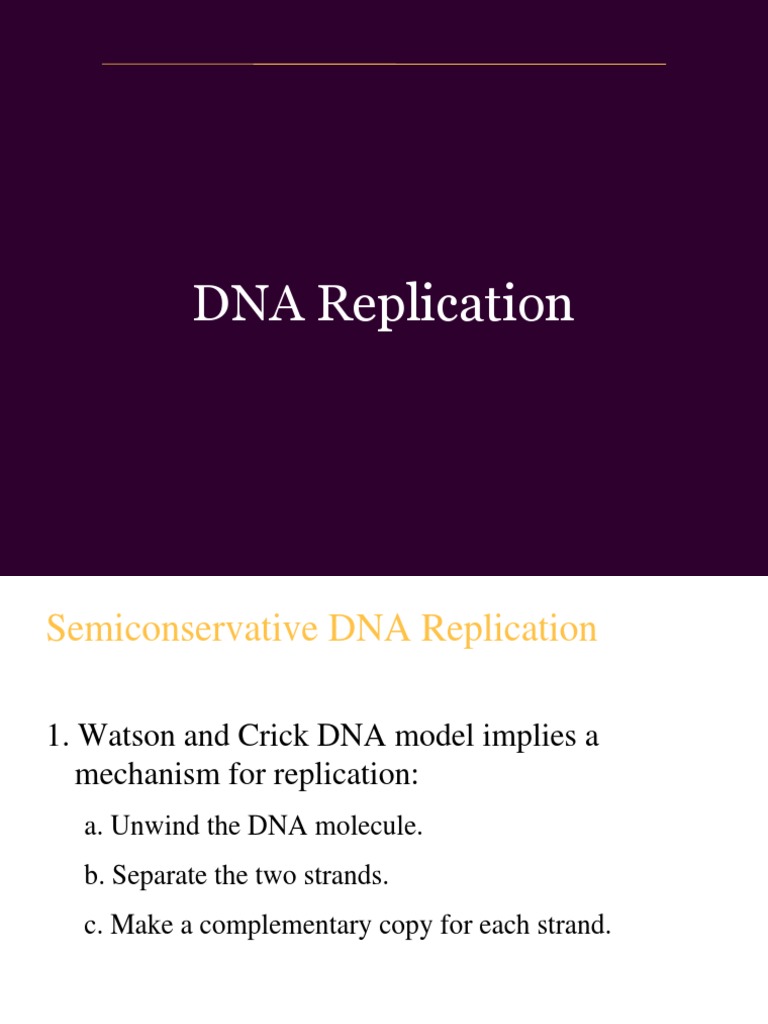 Cell theory scientists picture