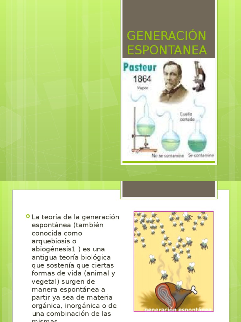 GENERACIÓNESPONTANEA Naturaleza Ciencias de la tierra y de la vida
