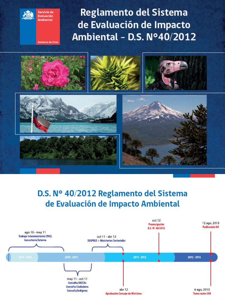 Reglamento Del Sistema DS 40 | PDF | Evaluación de impacto ambiental ...