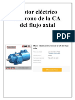 Motor Eléctrico Síncrono de La CA Del Flujo Axial