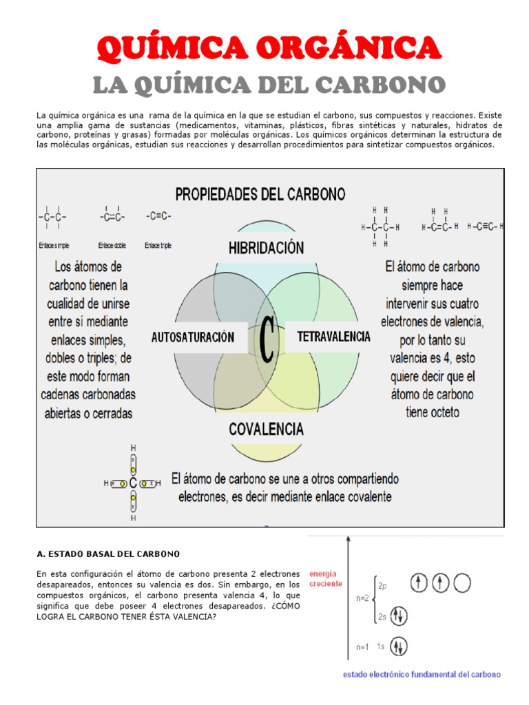 Química Orgánica El Carbono y Los