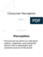 consumer perception.pptx