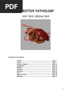 Download Gi Notes 2015 by Mutiara Daris SN284438958 doc pdf
