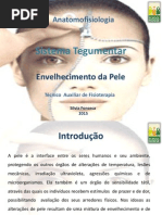 Sistema Tegumentar