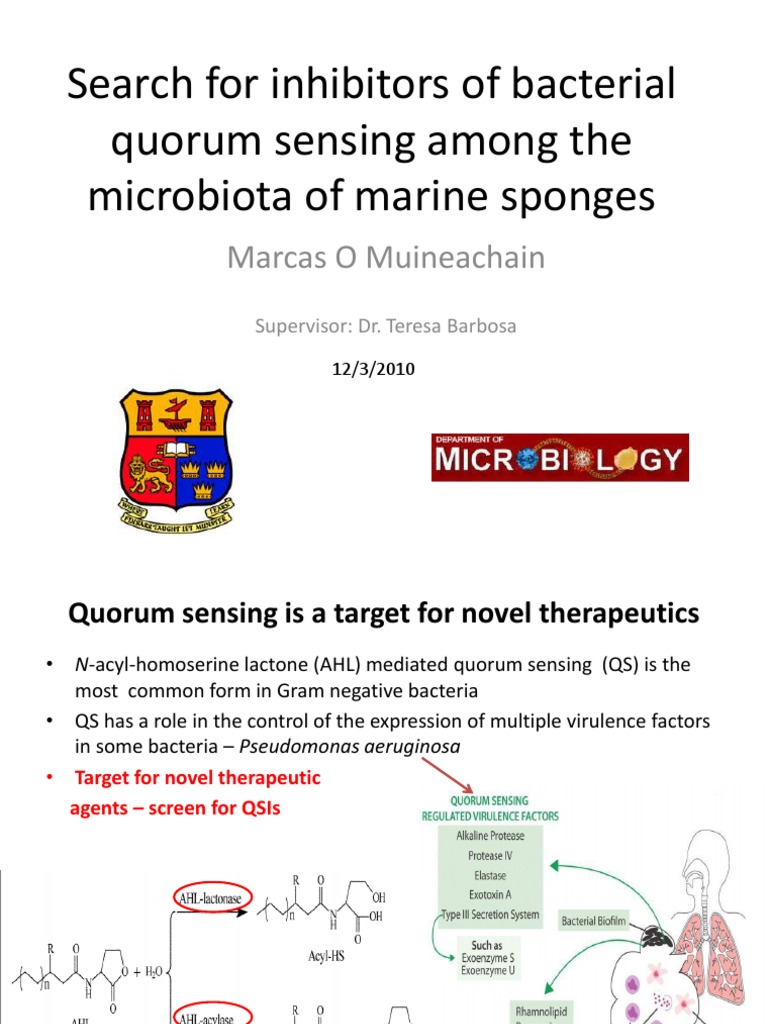 Search For Inhibitors of Bacterial Quorum Sensing Among The Microbiota