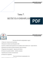 reticulo-endoplasmico1