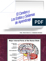 El Cerebro y Sus Estilos