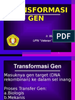 Transformasi Gen 
