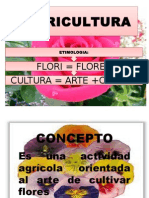 Flori Cultura 