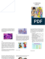 Triptico tuberculosis