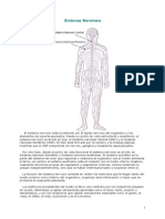 Atlas Del Sistema Nervioso