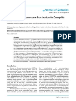 Jurnal Meiosis Internasional