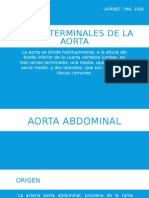 Ramas Terminales de La Aorta: Latarjet - Pag. 1028