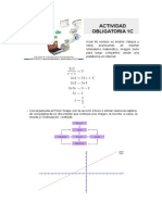 Actividad Obligatoria 1C