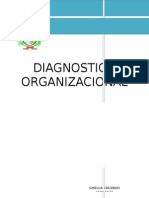 Diagnostico Organizacion Csmi Bosque Terminado