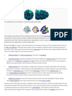 Protein Structure