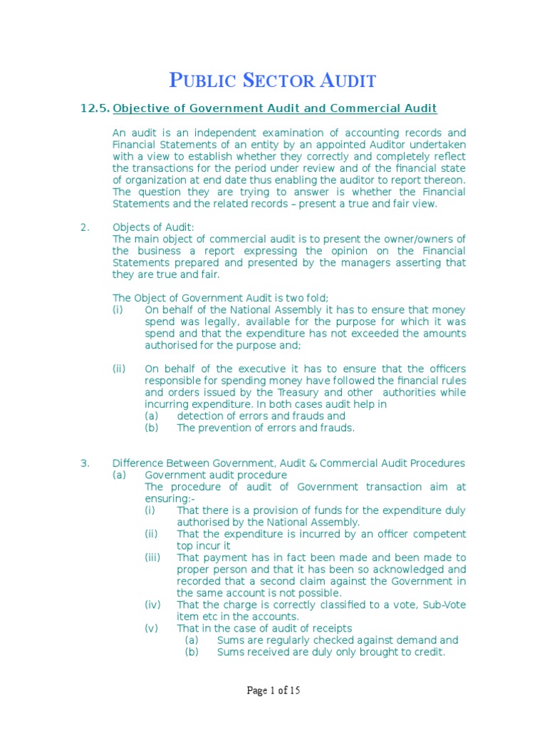 Overview of Public Sector Auditing | PDF | Financial Audit | Audit