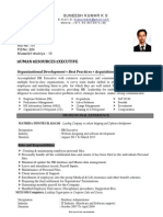 Functional Professional Director of Human Resources Resume PDF