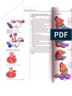 Prim Ajutor030 PDF